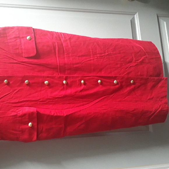 Argentine Boutique Silk Dress Sz 10 - Picture 2 of 10